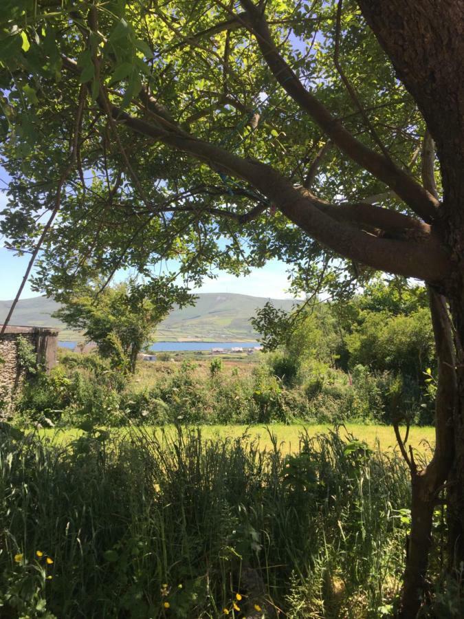 מלון Chapeltown Retro Caravans At Valentia Island Escape מראה חיצוני תמונה